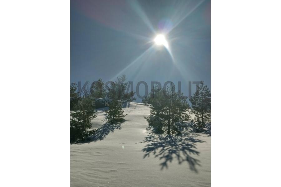 prodaja stanova beograd