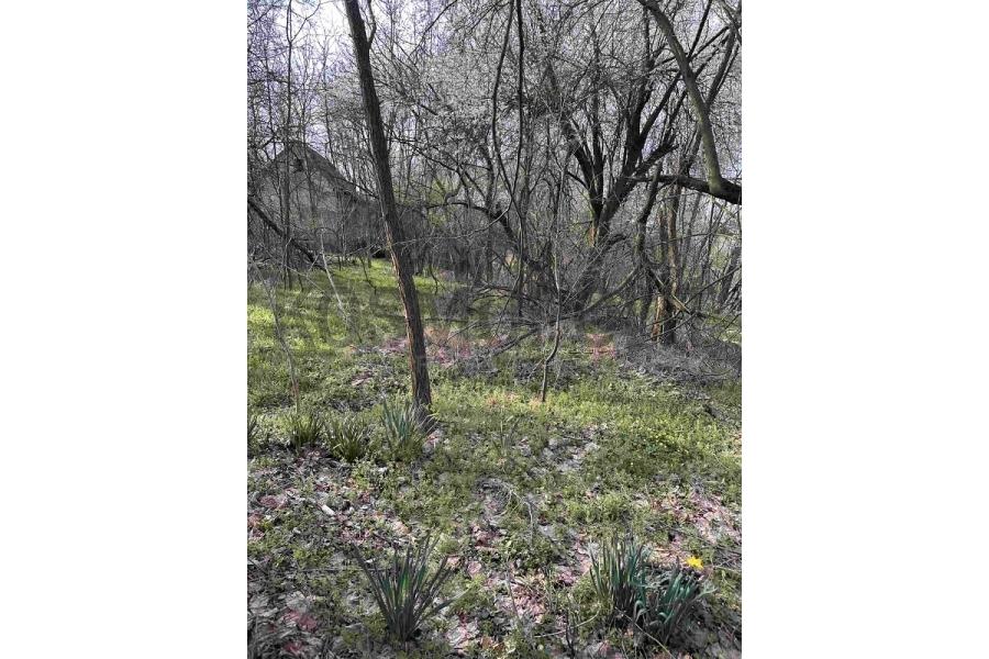 Prodaja,  Lisović  -  Dole Mihajlović 