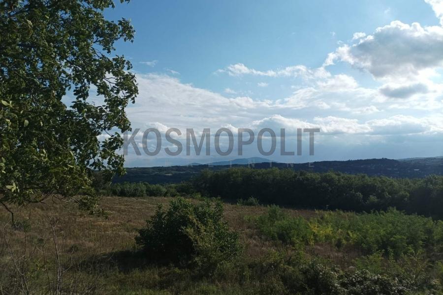 prodaja stanova beograd