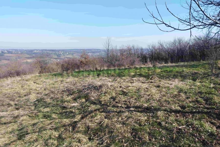 prodaja stanova beograd