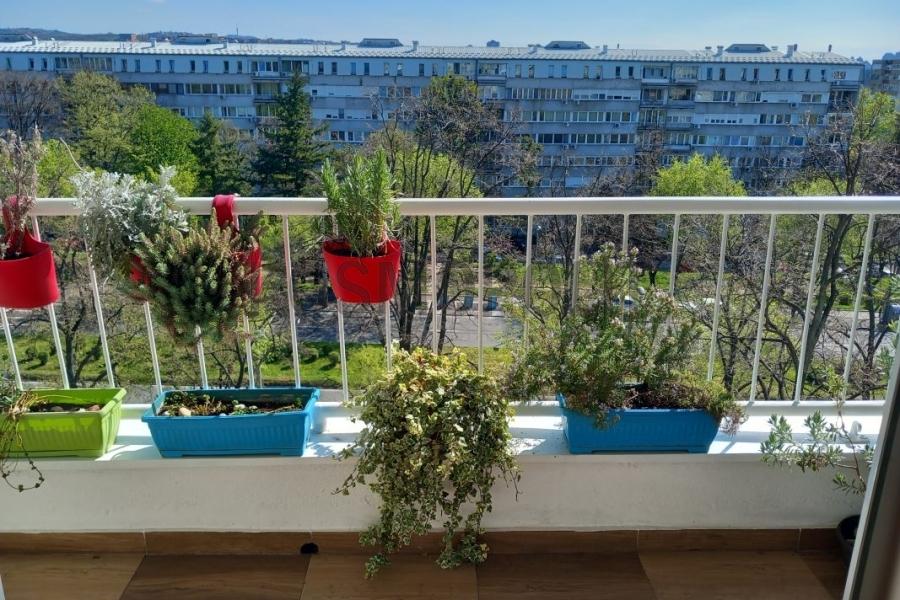 prodaja stanova beograd