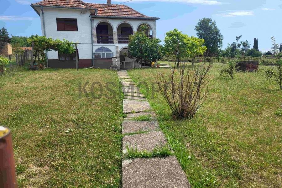 Prodaja, Milenije Ivanović -Baćevac